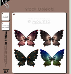 七彩蝴蝶标本图案PS笔刷素材下载（PNG图片素材）