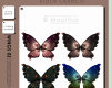七彩蝴蝶标本图案PS笔刷素材下载（PNG图片素材）