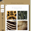 4种皮毛纹理、蟒蛇纹理、斑马纹理、豹子纹理、狮子毛发材质PS动物素材（PNG图片素材）