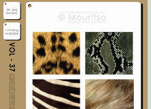 4种皮毛纹理、蟒蛇纹理、斑马纹理、豹子纹理、狮子毛发材质PS动物素材（PNG图片素材）