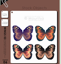 七彩蝴蝶翅膀图案PS笔刷免费下载（PNG透明图片格式）
