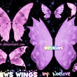 6种蝴蝶昆虫翅膀PS笔刷下载