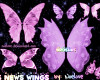 6种蝴蝶昆虫翅膀PS笔刷下载