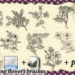 写实的植物花卉图案、野草野花PS花纹笔刷