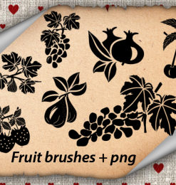 葡萄花纹、草莓剪影图案、樱桃矢量图形PS剪贴画笔刷