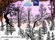 冬天的松针树、针叶林树木PS大树笔刷下载
