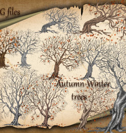 枯树效果、秋天的大树剪影图形PS笔刷下载（PNG透明格式）