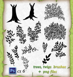 手绘树叶、树枝图案、大树、树荫PS笔刷下载