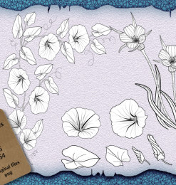 喇叭花、鲜花图案Photoshop植物花纹笔刷