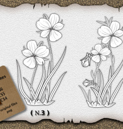 绽放的鲜花花朵、花卉图案PS笔刷下载（AI文件下载）