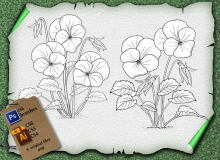漂亮的三色堇鲜花花纹图案PS笔刷素材（含Ai矢量文件）