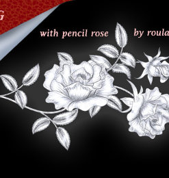 玫瑰花朵图案、鲜花花朵PS 笔刷素材（PNG格式素材）