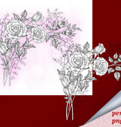 漂亮的玫瑰花花束素描图案PS笔刷下载（PNG图片格式）