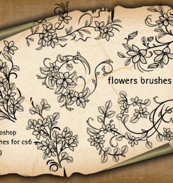 漂亮的手绘植物叶子、茎叶花纹图案PS笔刷下载