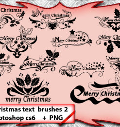 圣诞节文字花纹装扮PS祝福装饰笔刷