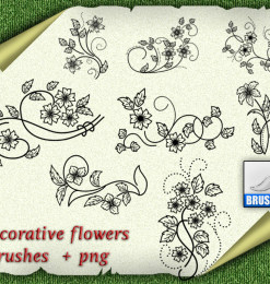 漂亮优美的植物印花花纹图案PS小清新花纹笔刷