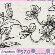 手绘线框鲜花花朵图案PS笔刷素材