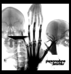 人体X光片效果、骨骼透视PS笔刷下载