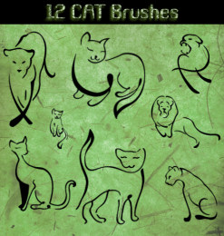 12种创意猫科动物、狮子、猫咪涂鸦图案Photoshop笔刷素材