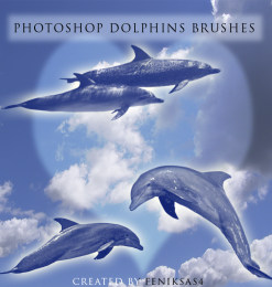 海豚生物PS笔刷下载