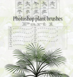 photoshop植物松针叶笔刷素材