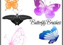 蝴蝶图案、昆虫蝴蝶PS笔刷下载