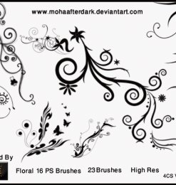 优雅艺术花纹图案、漩涡式植物印花PS笔刷素材
