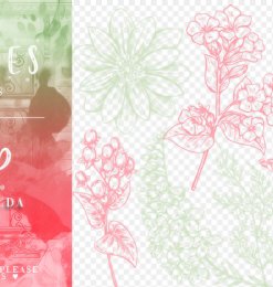 小清新风格的精美植物花朵纹理PS笔刷素材