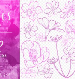 29种盛开的花朵花纹图案PS鲜花笔刷素材
