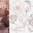 15种玫瑰花花朵、叶子手绘图案PS笔刷素材