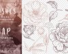 15种玫瑰花花朵、叶子手绘图案PS笔刷素材