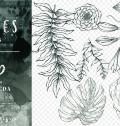 素描式花朵、叶子图案PS笔刷素材