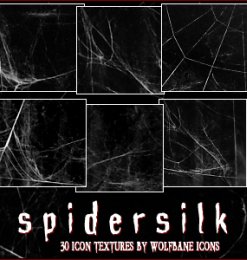 30个蜘蛛网背景纹理素材、蛛网素材PS免费笔刷