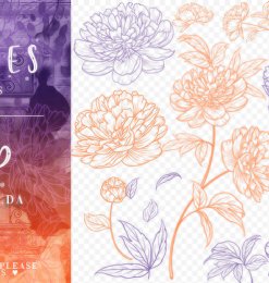 18种手绘盛开的鲜花花朵图案PS笔刷素材
