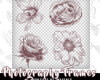 4种手绘花朵、盛开鲜花图案PS笔刷包下载（PNG格式）