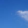 蓝天中的月亮照片 – 正版图片下载