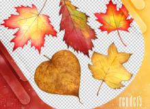 秋天落叶、枫叶、梧桐叶子PS笔刷素材（PNG图片格式）
