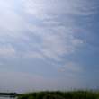 湿地上的蓝天照片背景下载