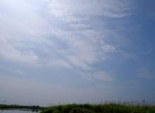 湿地上的蓝天照片背景下载