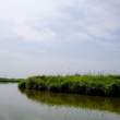 湿地湖面和蓝天高清照片下载