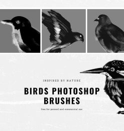 涂鸦鸟Photoshop笔刷素材