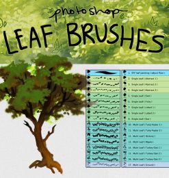 17个Photoshop树叶、叶子画笔素材下载