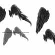 折断的翅膀、折翼天使PS羽毛翅膀笔刷