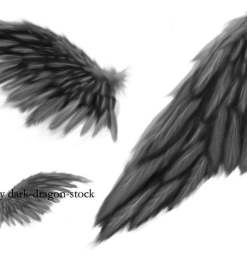 手绘羽翼翅膀、天使翅膀背景PS笔刷素材