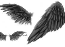 手绘羽翼翅膀、天使翅膀背景PS笔刷素材