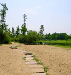 绿洲沙滩背景图片