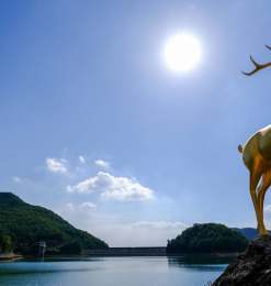 铜鹿背景高清4K照片