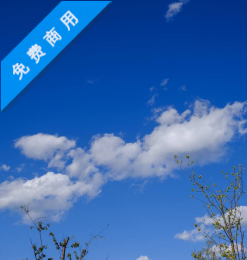 阳春三月蓝天背景照片