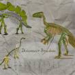 手绘恐龙化石、侏罗纪恐龙骨骼图案PS笔刷