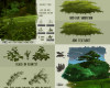 免费高级树木、树叶、叶子插画绘画笔触笔刷素材（也含有PS笔刷文件，CSP画笔）